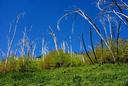 Panoramic Trail scenery.